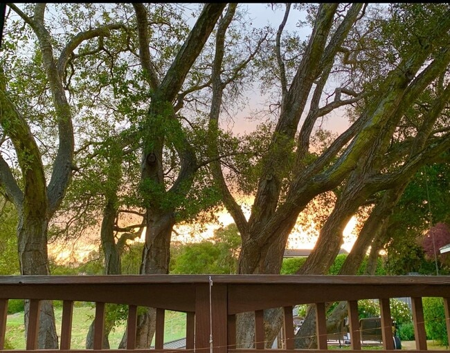 Building Photo - Charming Studio in La Selva!