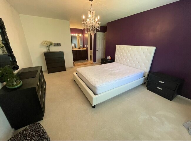 Master with private bath (furniture as is) - 2807 Lee Oaks Ct