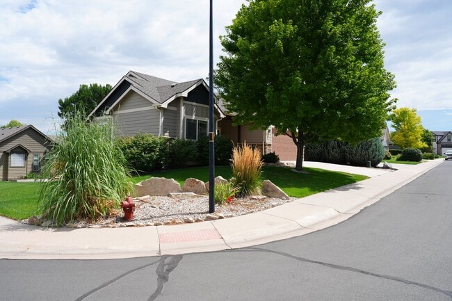 Building Photo - 1727 Clear Creek Ct