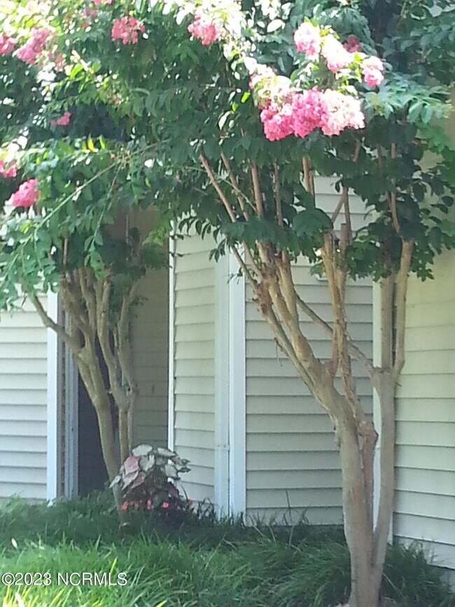 Foto del edificio - 515 Spring Forest Rd