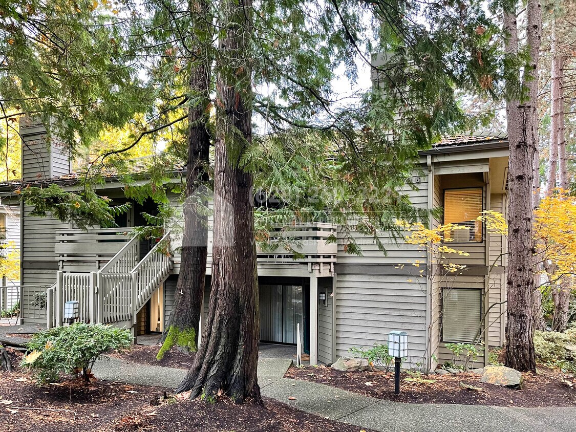 1296 Bellevue Way NE Unit 1, Bellevue, WA 98004 Condo for Rent in Bellevue, WA