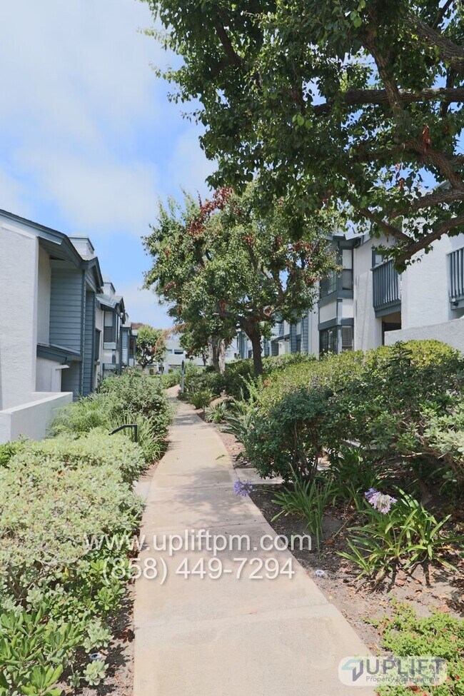 Foto del edificio - 1 Bed 1 Bath near UCSD, laundry in unit, P...