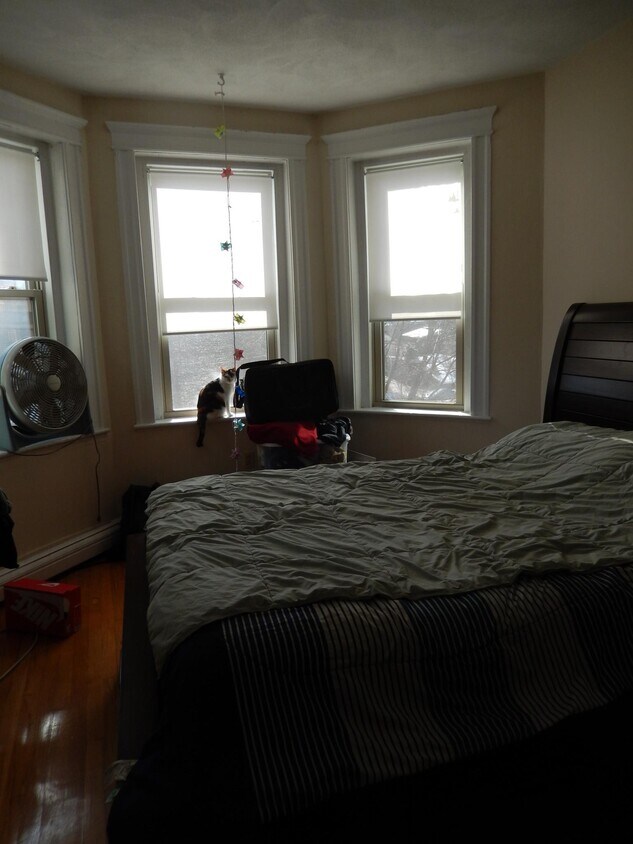 Primary Photo - 1625 Commonwealth Ave
