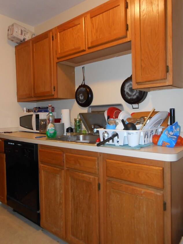 7 Lorraine Terrace, Boston, MA 02134 Apartments in Boston, MA