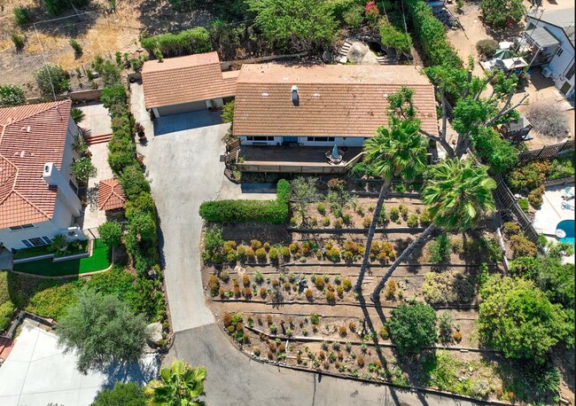 Large yard with many plants - 1831 Highgrove Dr