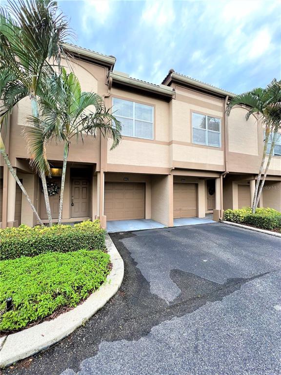 1002 Normandy Trace Rd, Tampa, FL 33602 Condo for Rent in Tampa, FL
