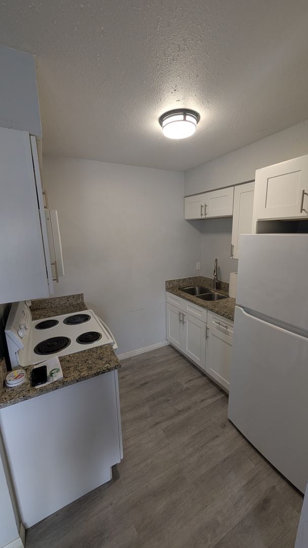 Photo - Warm and Cozy one bedroom,dog park, heart of Tampa Apartment