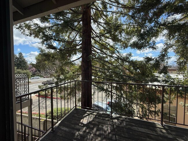 Foto del edificio - Fremont- Newly Upgraded, 2 Bed 2 Bath Cond...