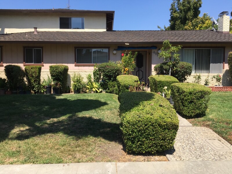 Primary Photo - 651 Belladonna Ct