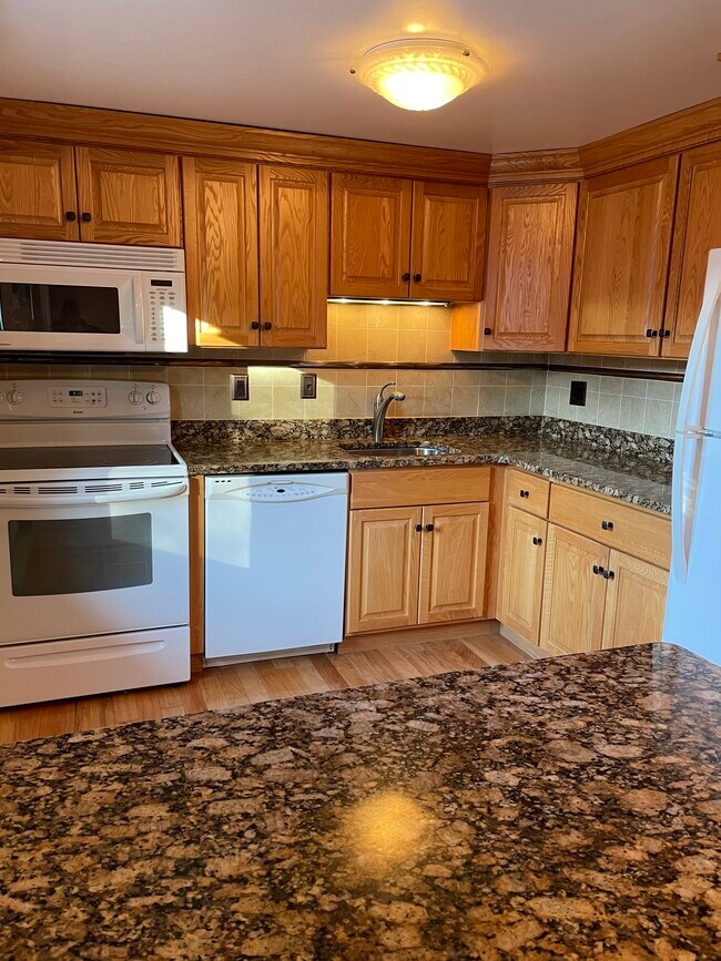 kitchen - 1 Abbott Rd