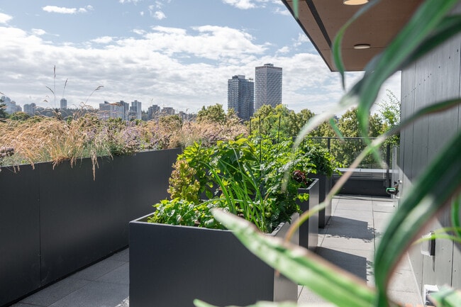 Floorplan - Nell’s Place