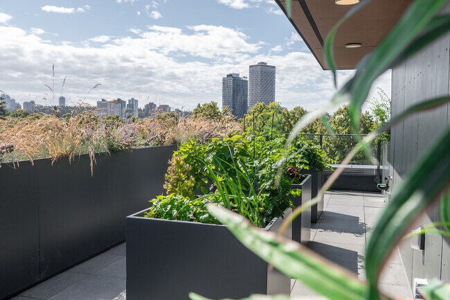 Plan d'étage - Nell’s Place