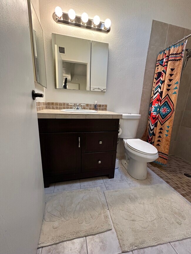 Master bathroom has a walk in shower. - 2552 N Sahuara Ave