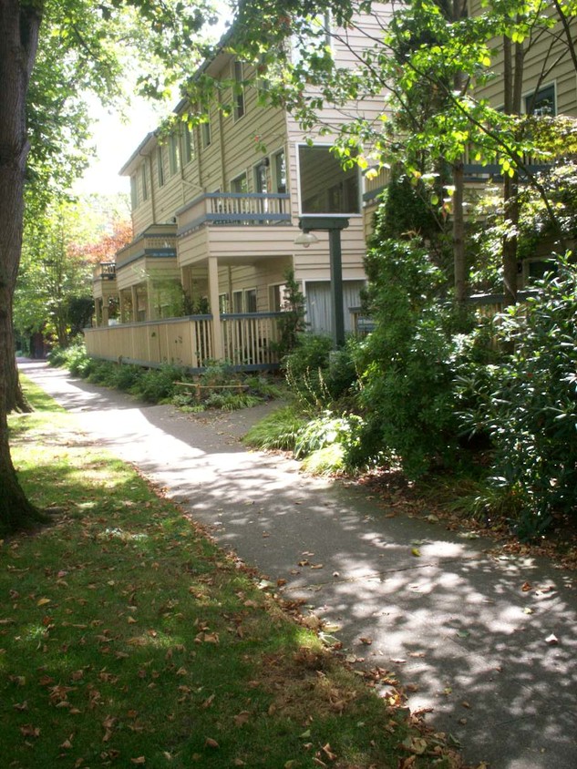 Tree-lined street - 1717 16th Ave