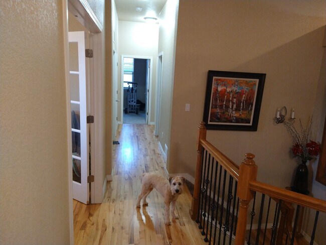 Foto del edificio - 2331 Ledgewood Dr