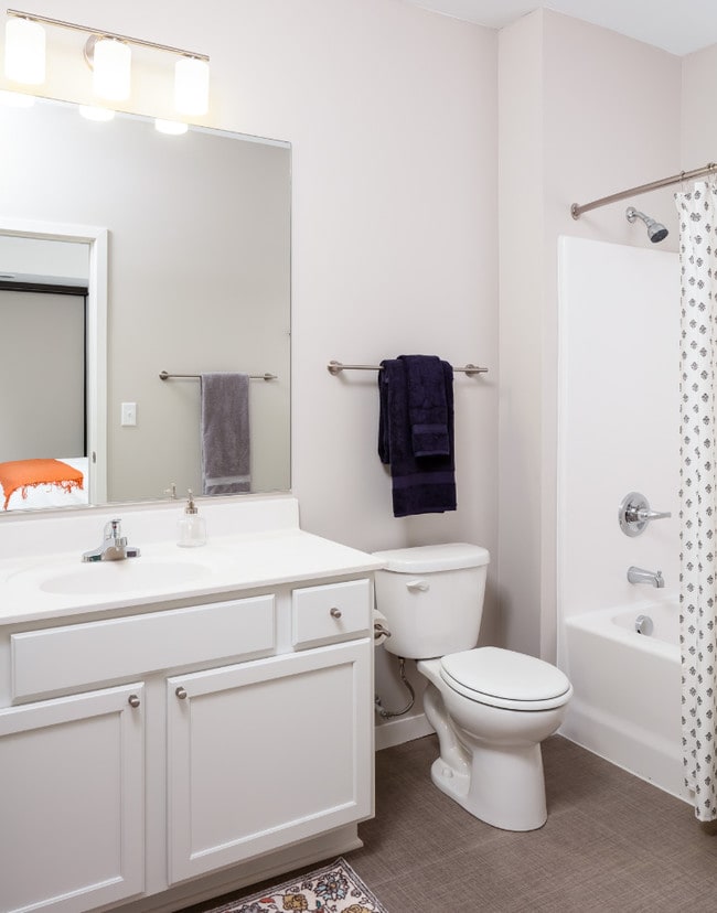 Foto del edificio - Confluence on 3rd Apartments