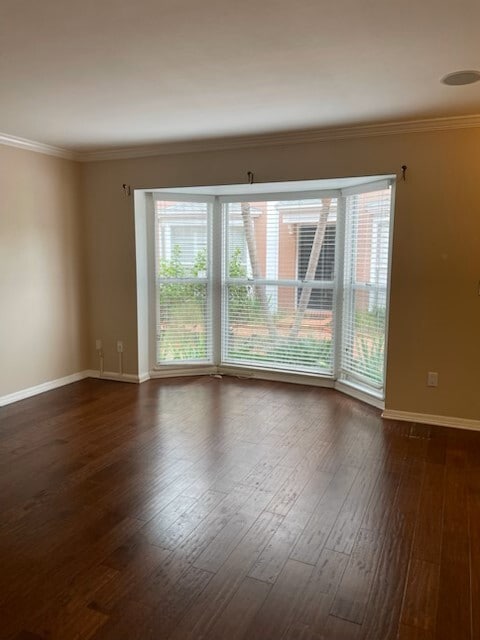 Plenty of light in LR - 303 S Bungalow Park Ave