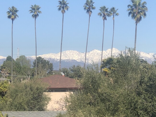 View from Building (East/Front) Winter - Amber Crest Apartments