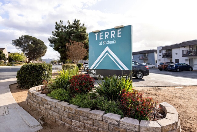 Building Photo - Terre at Bostonia