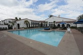 This outdoor pool facility showcases a Spanish Colonial Revival aesthetic, characterized by white stucco exteriors, red tile rooflines, and arched colonnades that frame the poolside seating area. The centerpiece is a generously sized swimming pool with clearly marked lap lanes, finished with vivid turquoise water and bordered by patterned sandstone pavers that extend into a broad, open deck. Tall, mature palm trees line the perimeter, providing natural vertical interest and partial shade throughout the day.

The lounge area is well-appointed with rows of reclining chairs and multiple shaded cabanas fitted with blue umbrellas and pergola-style canopies, offering comfortable retreats from direct sun. A small secondary water feature is positioned near the deck edge, adding an additional amenity to the outdoor space.

Supporting the pool area, the facility includes an indoor service corridor with clean, tile-floored restrooms and accessible shower stations. The showers feature fold-down benches, grab bars, and white subway tile walls, designed to meet accessibility standards. Outdoor rinse showers are also available directly poolside, conveniently positioned near the water. Textured stucco walls and narrow clerestory windows allow natural light into the interior corridor while maintaining privacy.