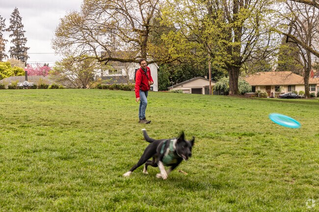 Woodstock Park is an excellent spot for playing frisbee with your dog.