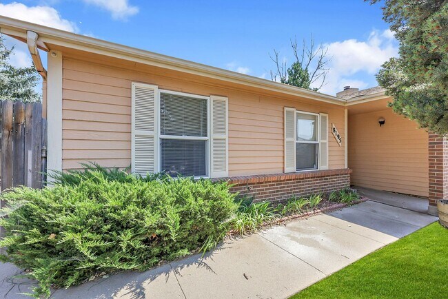 Foto del edificio - Ranch-Style Home in Briargate! D20 Schools