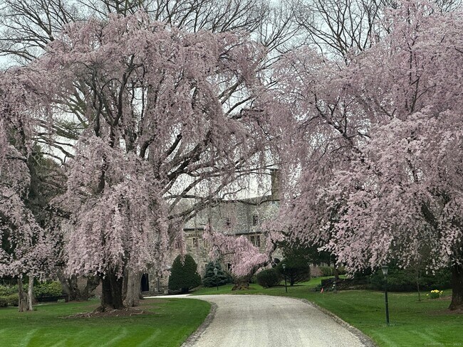 Foto del edificio - 35 Dogwood Ln