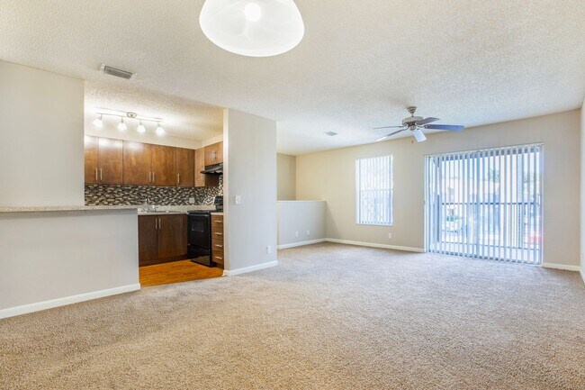 Interior Photo - Coral Falls