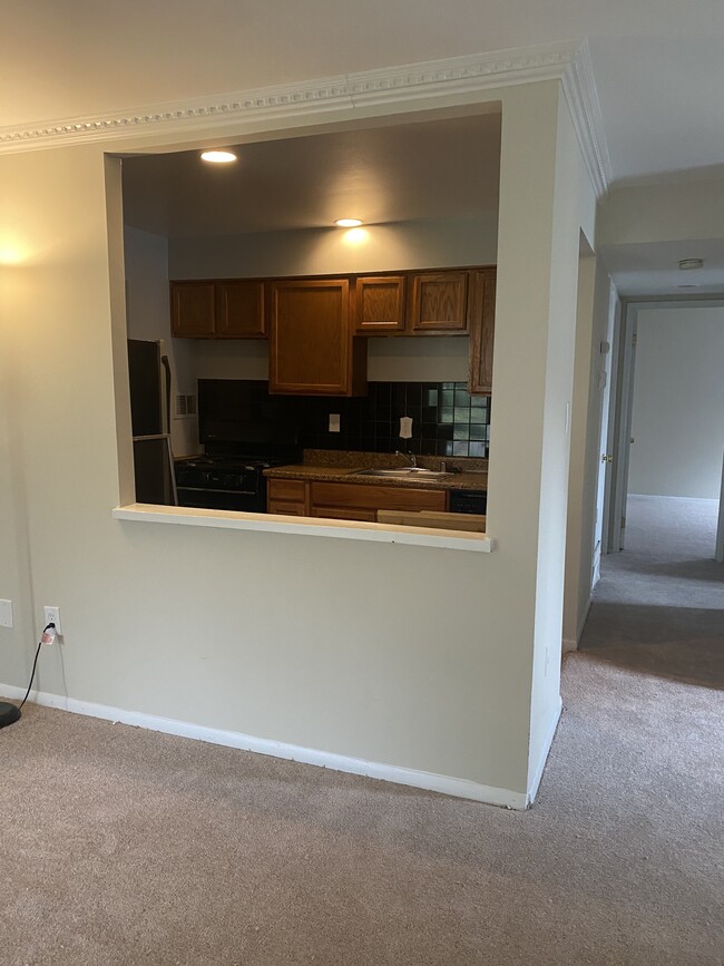 Living room and hallway area - 515 Wilson Bridge Dr