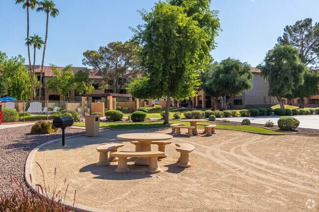 Cancha de deportes - Olive Tree