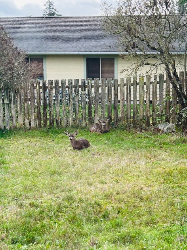 Foto del edificio - 3 Bedroom Home located in the heart of town! Close to everything!