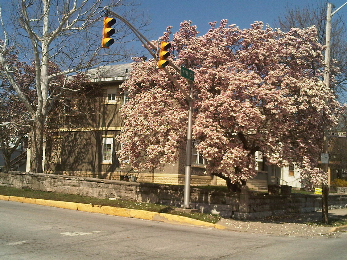 Building Photo - 1029 S 7th St