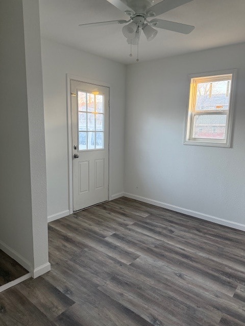 Foto del edificio - 1304 Stone Dr