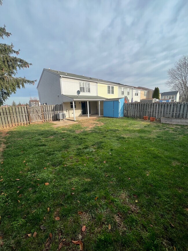 Back Yard - 533 Beebe Ct