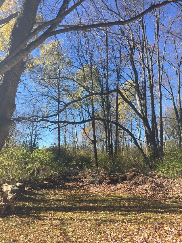 1501 Pleasant St Unit 4D, Olean, NY 14760 Apartments in Olean, NY