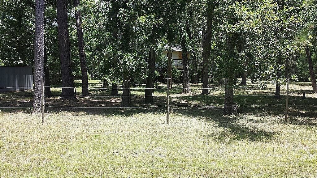 Primary Photo - 6029 Cypresswood Dr