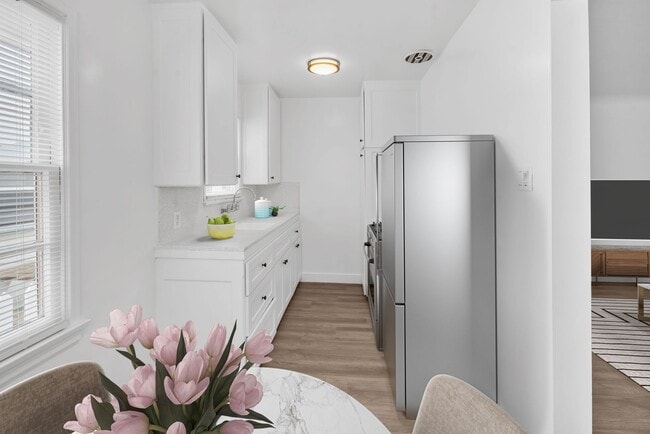 Building Photo - Newly Renovated Studio on 2nd Street- Belmont Heights