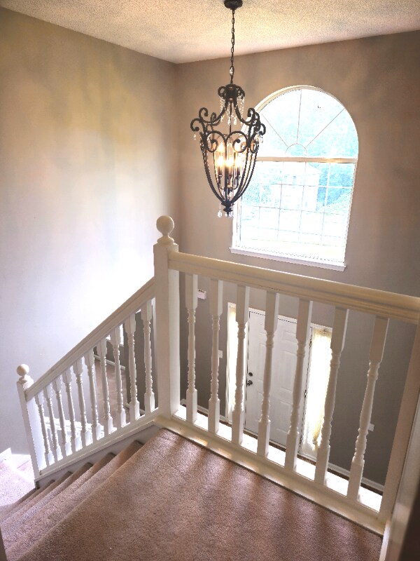 Foto del edificio - 4534 Aerie Ln
