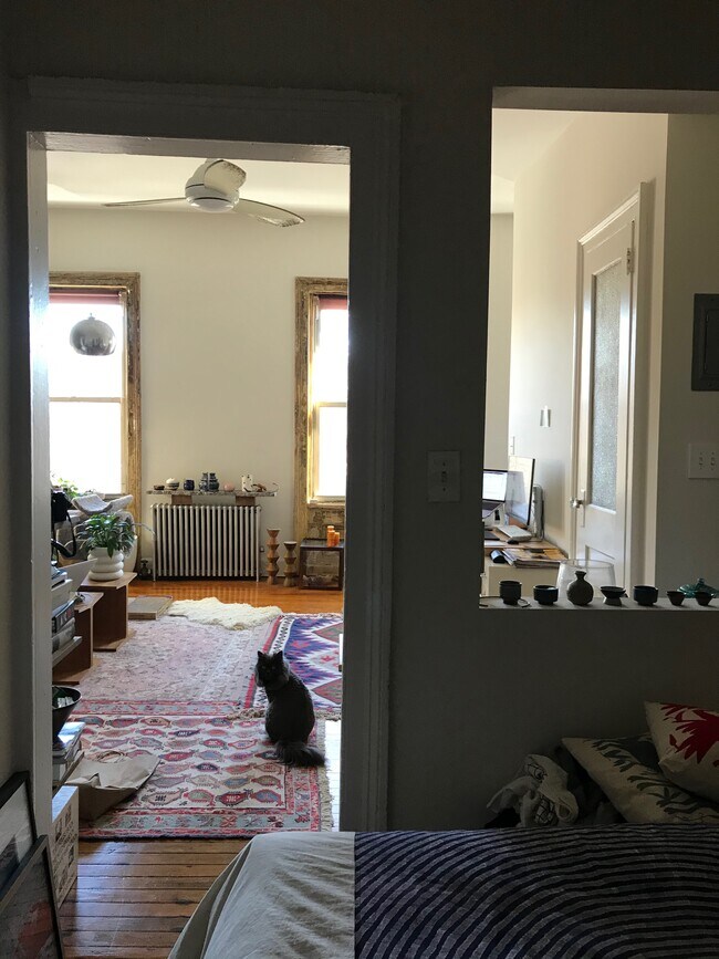 Building Photo - 207 Franklin St