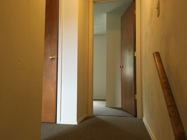 Building Photo - 3 Norton Dr