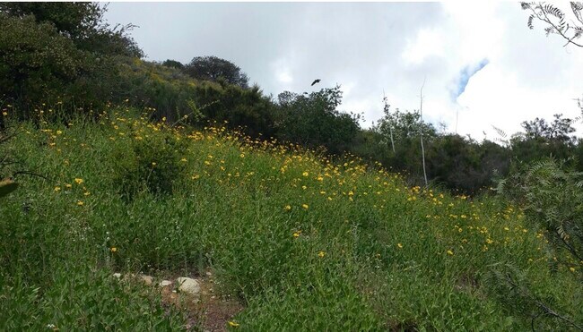 Views - 2376 Old Topanga Canyon Rd