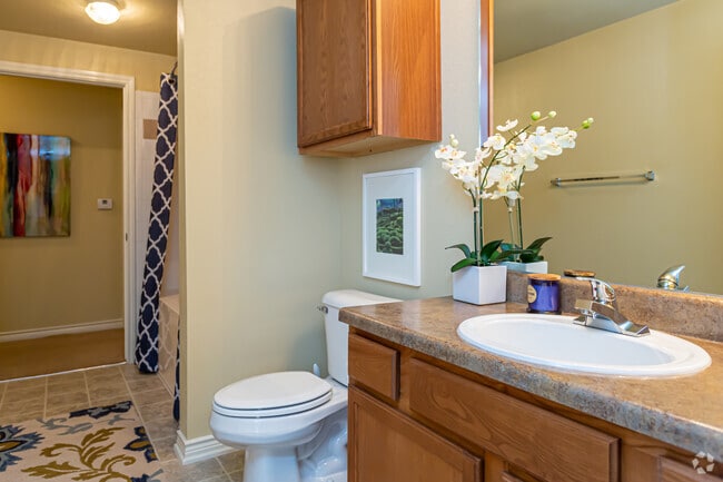 2 BR, 2 BA - 1,055 SF - Country Club Pointe Apartment Homes