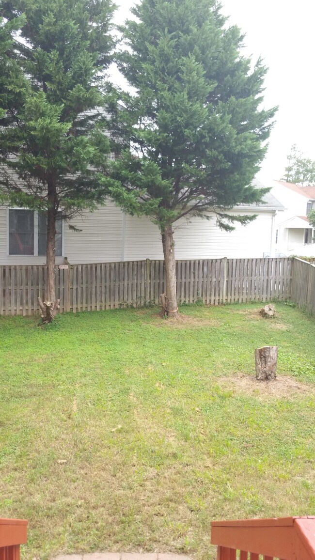 Backyard - 45528 Coosan Ct