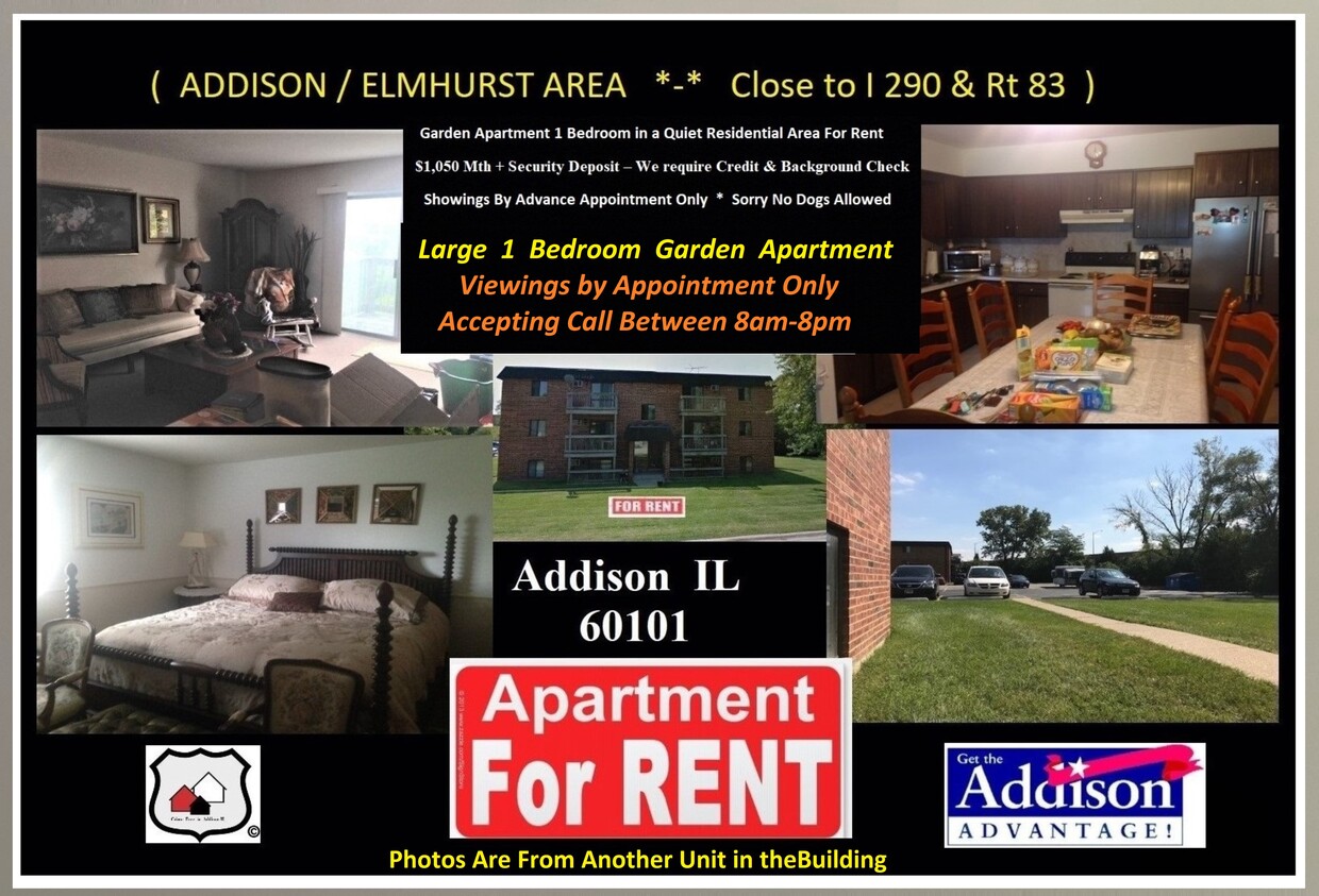 1 Bedroom Large Apartment - 731 Old Grand Ave