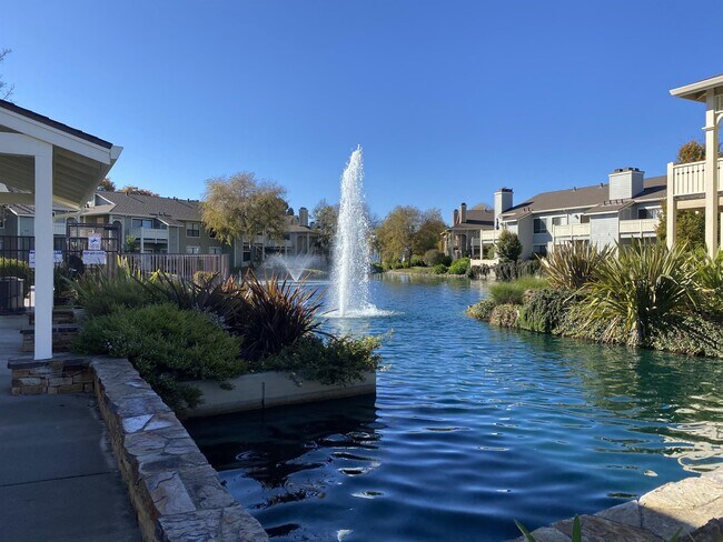 Foto del edificio - 244 Shoreline Ct