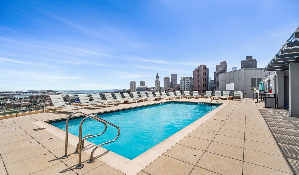Date un baño en la piscina de la azotea mientras disfrutas de las vistas. - One Canal Apartments