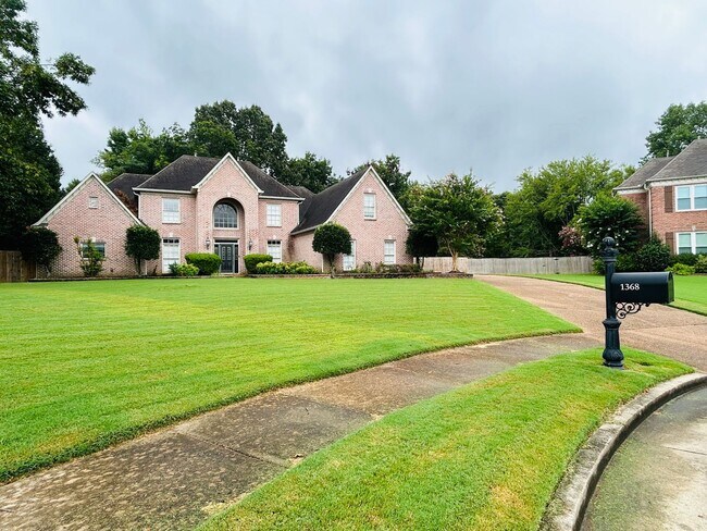 Foto del edificio - Beautiful Collierville home tucked away in...