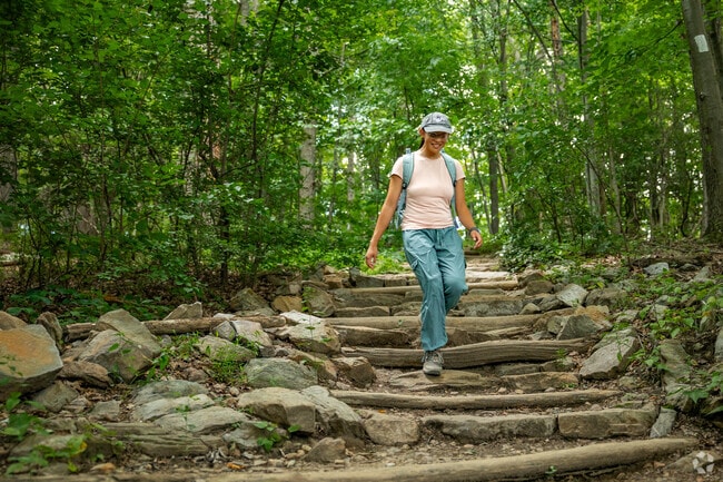A portion of the Appalachian Trail runs through Mount Aetna.
