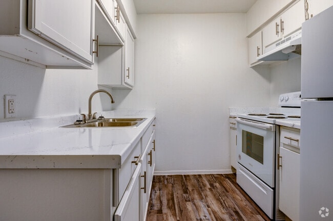 2BR, 1BA - 850SF - Kitchen - Apex Apartments