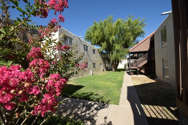 Bella Terra Apartments Apartments Hobbs, NM